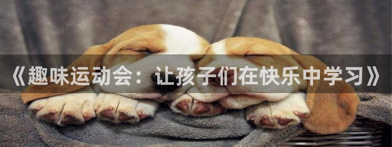 米兰体育网站