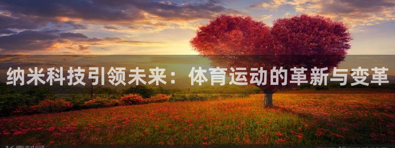 米兰体育靠谱吗：纳米科技引领未来：体育运动的革新与变革