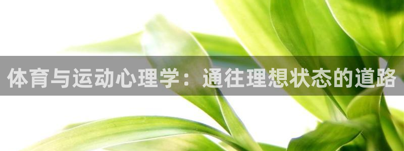 米兰体育场