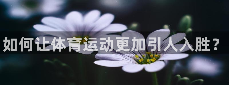 米兰体育平台：如何让体育运动更加引人入胜？